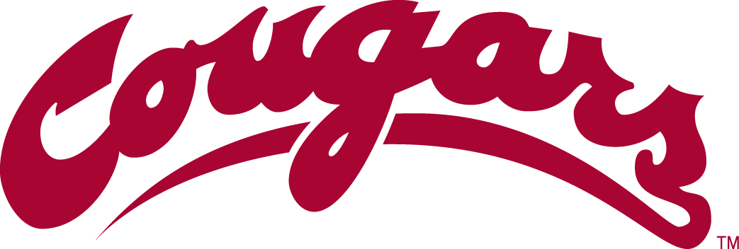 Washington State Cougars 1995-2010 Wordmark Logo diy fabric transfer...